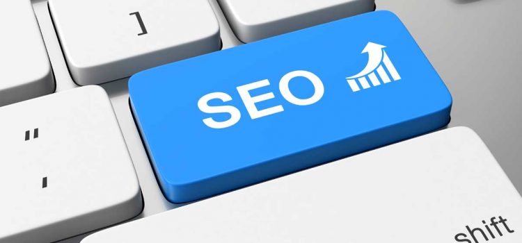 Cultivez votre site internet